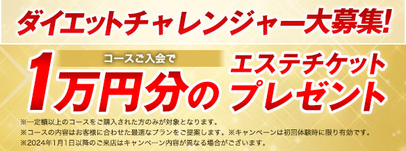 全身・お腹やせコース   コースと料金   ダイエットをするならミスパリ