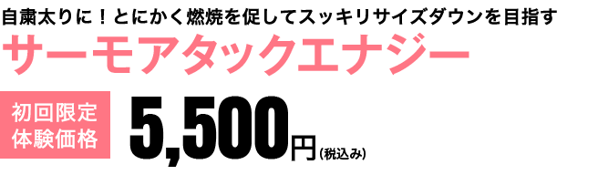 サーモアタックエナジー　初回限定体験価格5,500円